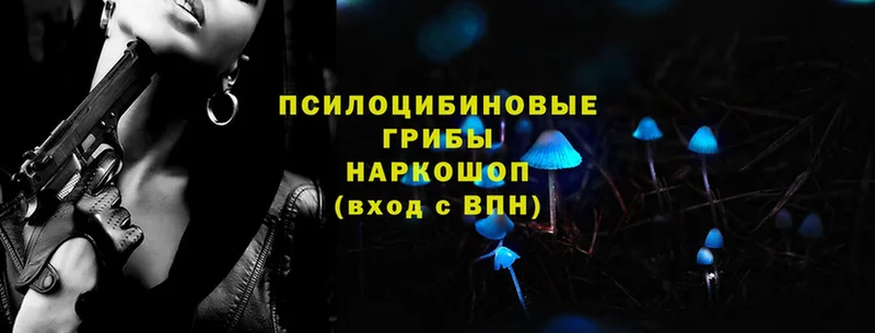 Где купить Гатчина МЕТАДОН  Каннабис  Кокаин  Альфа ПВП  Меф  ГАШ 