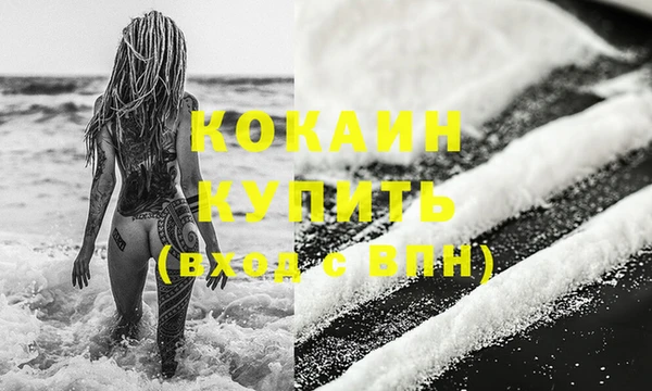 винт Богданович