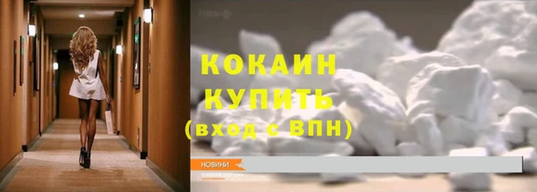 винт Богданович