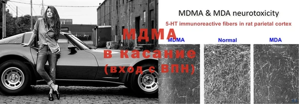 винт Богданович