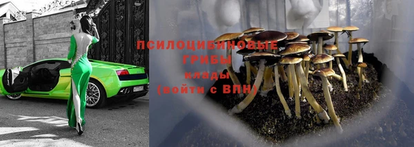 трава Богородицк