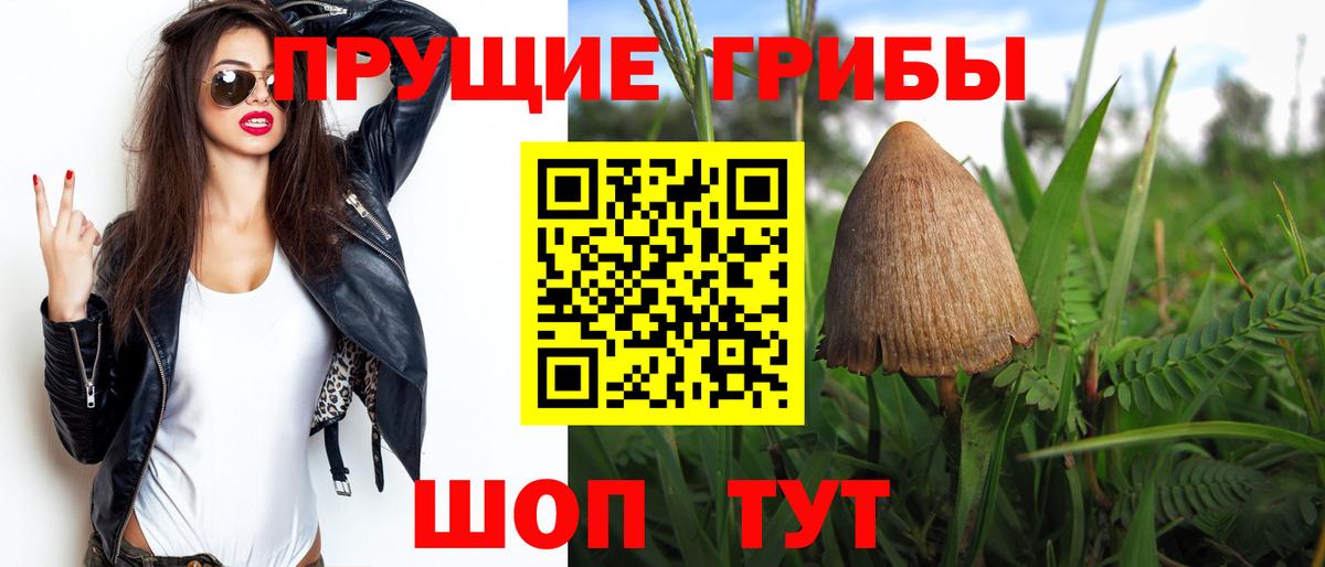 Галлюциногенные грибы мицелий Гатчина