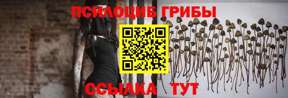 Галлюциногенные грибы GOLDEN TEACHER  Гатчина 